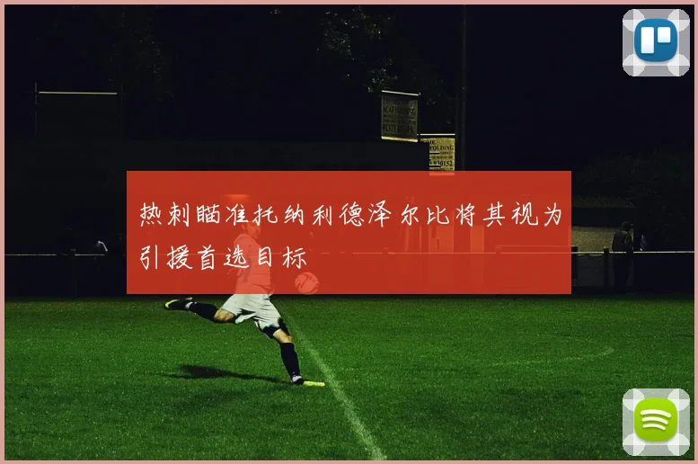 热刺瞄准托纳利德泽尔比将其视为引援首选目标